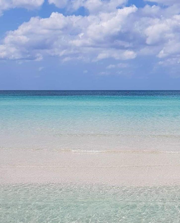 Manidibianco Apulian Relaxing Stay Turi Kültér fotó